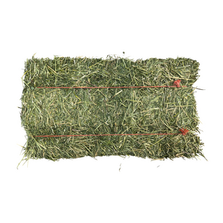 Alfalfa Standard Hay Bale Forage