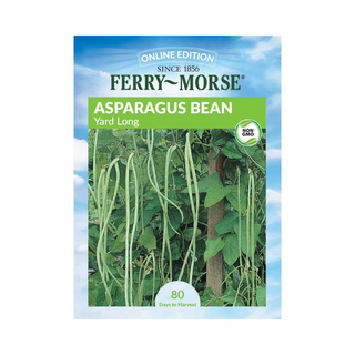 Asparagus Bean - Yard Long