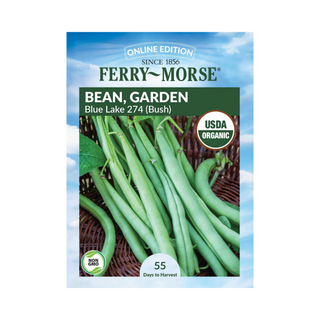 Bean Bush Blue Lake 274 Organic