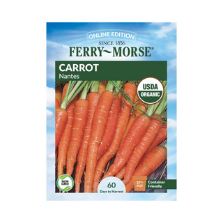 Carrot Nantes Organic