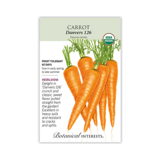 Carrot (Orange) Danvers Organic