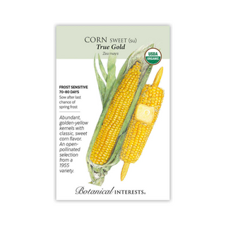 Corn Sweet (yellow) True Gold Organic