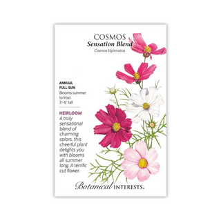 Cosmos Sensation Blend Organic