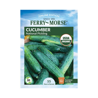 Cucumber - National Pickling Organic