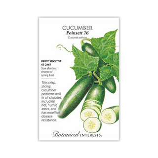 Cucumber Poinsett 76