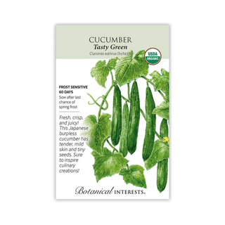 Cucumber Tasty Green Organic