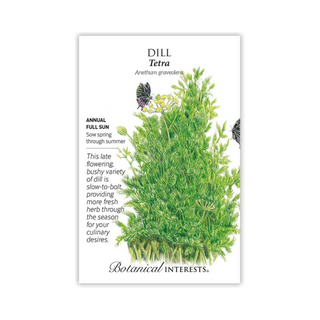 Dill Tetra