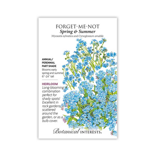 Forget-Me-Not Spring and Summer