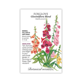 Foxglove Gloxiniiflora Blend