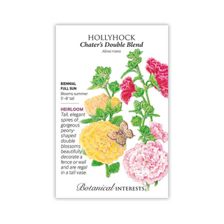 Hollyhock Chater's Double Blend