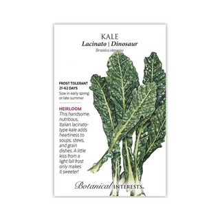 Kale Italian Lacicato Dinosaur