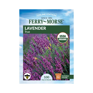 Lavender - True Organic