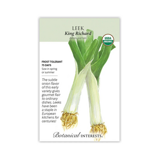 Leek King Richard Organic