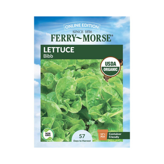 Lettuce - Bibb Organic