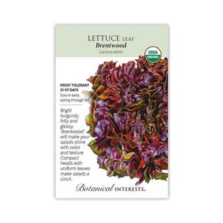 Lettuce Eazyleaf Brentwood Organic