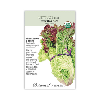 Lettuce Leaf New Red Fire Organic