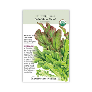 Lettuce Leaf Salad Bowl Blend Organic