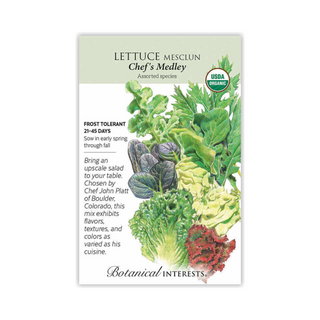 Lettuce Mesclun Chef's Medley Organic