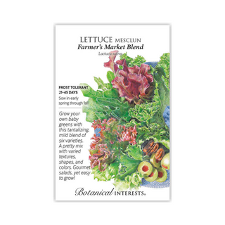 Lettuce Mesclun Farmer's Market Blend