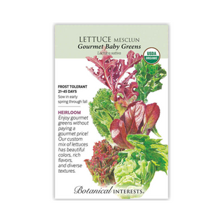 Lettuce Mesclun Gourmet Baby Organic