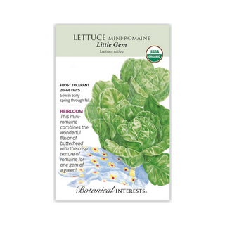 Lettuce Romaine Little Gem Organic