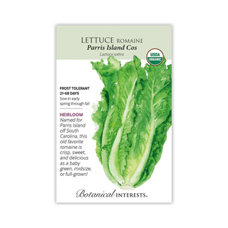 Lettuce Romaine Parris Island Organic