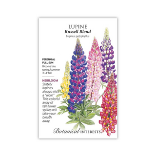 Lupine Russell Blend