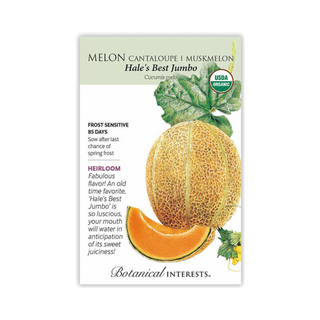 Melon Hales Best Jumbo Organic