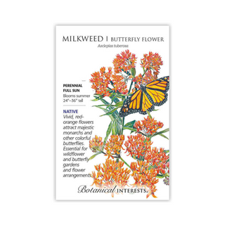 Milkweed Butterfly Flower