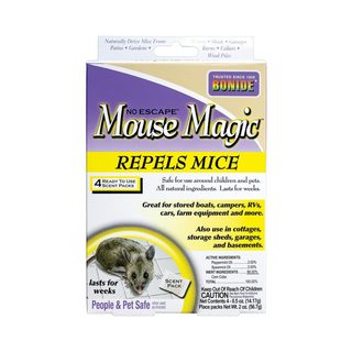 Mouse Magic