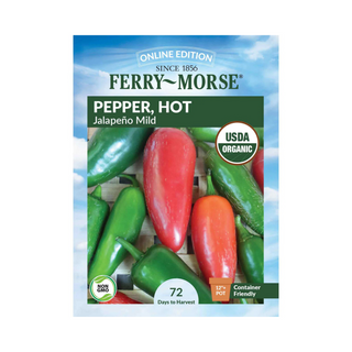 Pepper - Jalapeno Mild