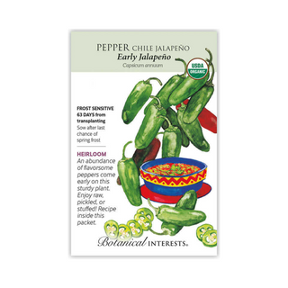 Pepper Chile Jalapeno Early Organic