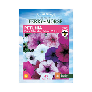 Petunia - Dwarf Bedding Mixed Colors