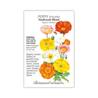 Poppy Iceland Nudicaule Blend