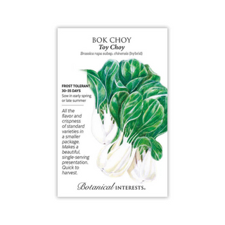 Bok Choy Toy Choy hybrid