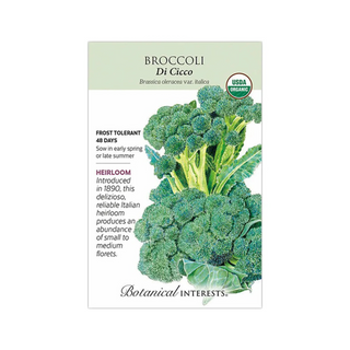 Broccoli (classic) Di Cicco Organic