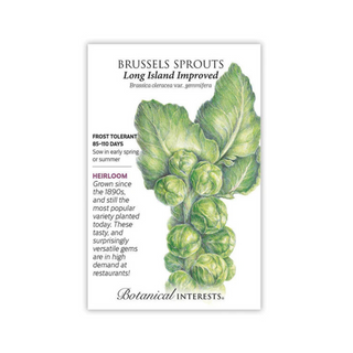 Brussels Sprouts Long Island Imp