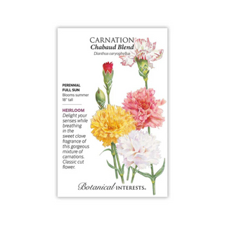 Carnation Chabaud Blend