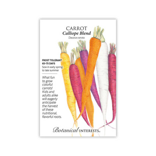 Carrot (Blend) Calliope