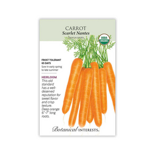 Carrot (Orange) Scarlet Nantes Organic