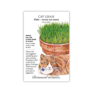 Cat Grass