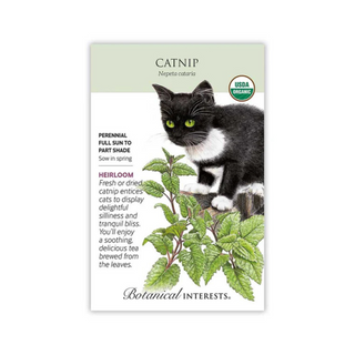 Catnip Organic