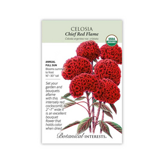 Celosia Chief Red Flame Organic