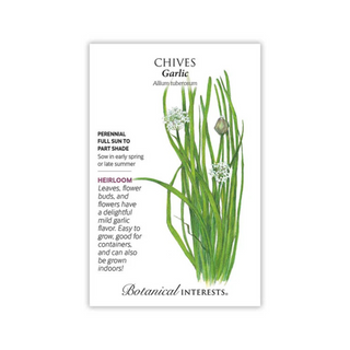 Chives Garlic