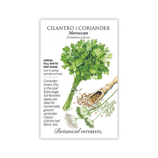 Cilantro/Coriander Moroccan