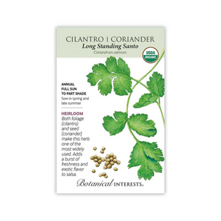 Cilantro/Coriander Santo Organic