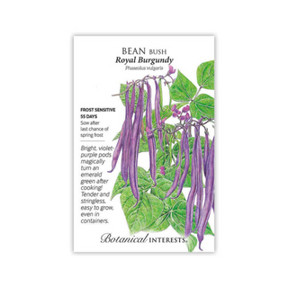 Bean Bush Royal Burgundy