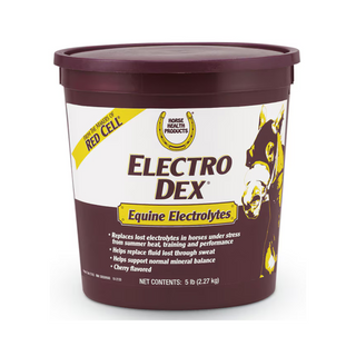 Electro Dex Electrolytes