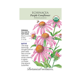 Echinacea Purple Coneflower Organic