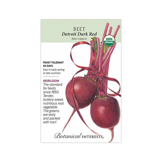 Beet (red) Detroit Dark Organic